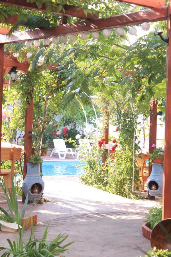 Alba Family Club Hotel Πριμόρσκο Εξωτερικό φωτογραφία