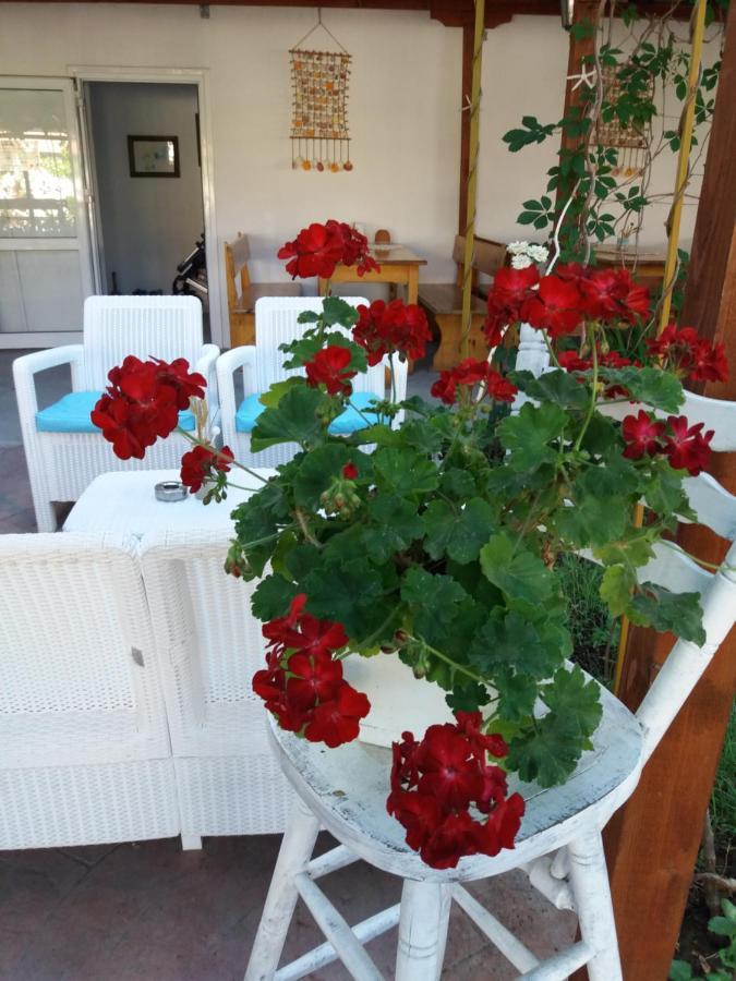 Alba Family Club Hotel Πριμόρσκο Εξωτερικό φωτογραφία