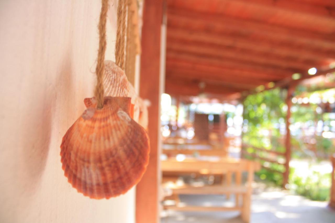 Alba Family Club Hotel Πριμόρσκο Εξωτερικό φωτογραφία