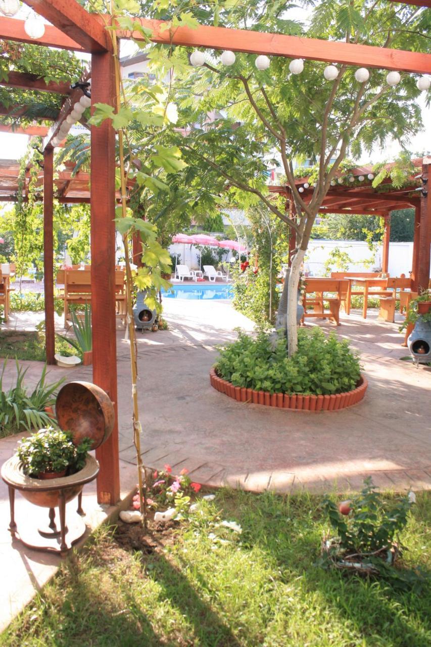 Alba Family Club Hotel Πριμόρσκο Εξωτερικό φωτογραφία