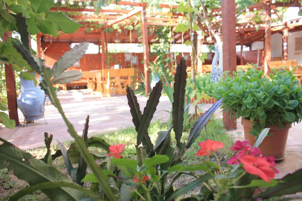 Alba Family Club Hotel Πριμόρσκο Εξωτερικό φωτογραφία