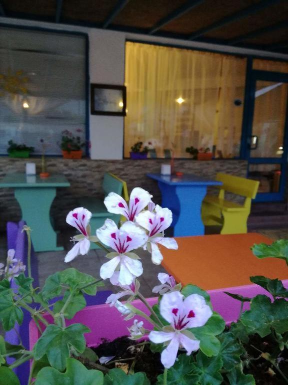 Alba Family Club Hotel Πριμόρσκο Εξωτερικό φωτογραφία